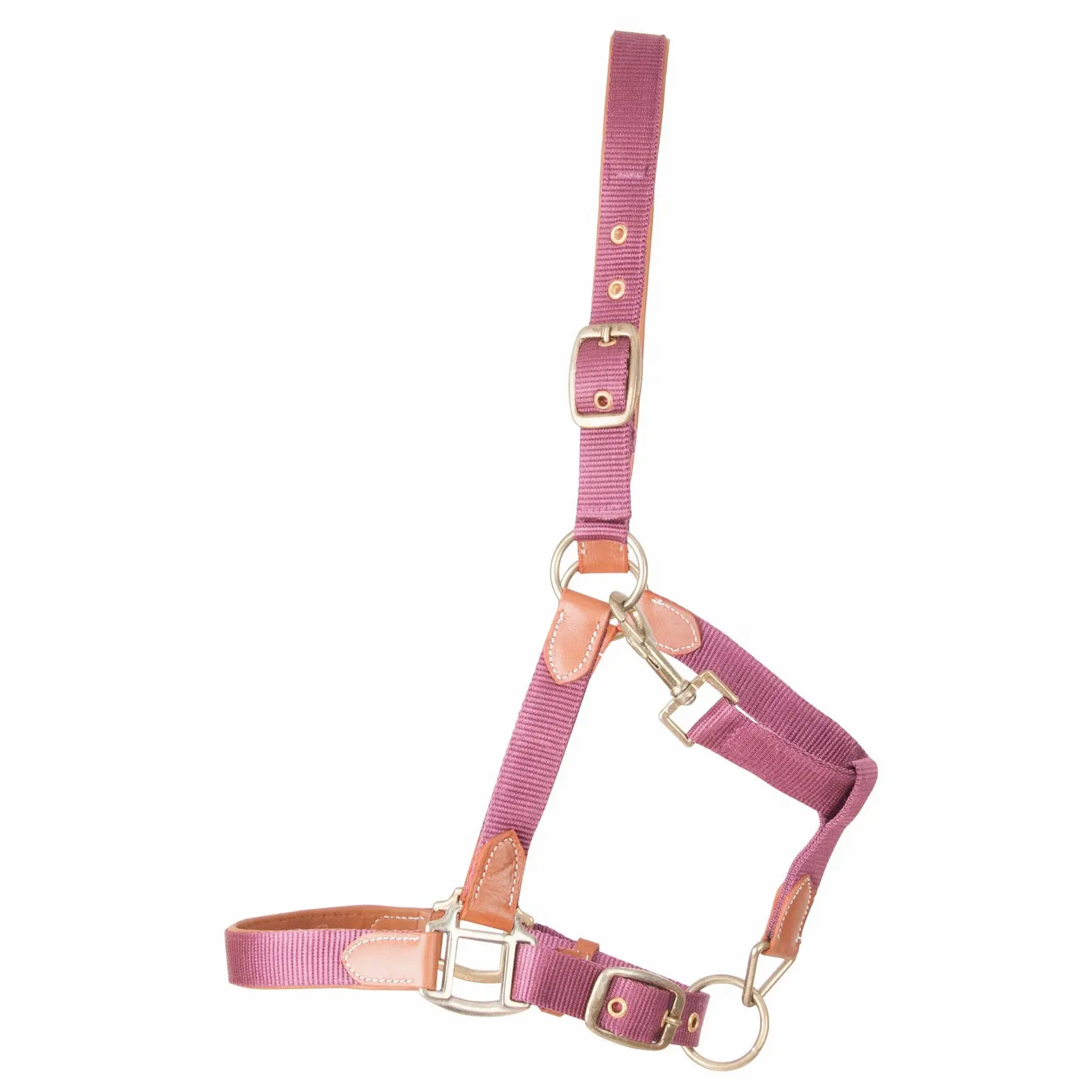 Leather halter for horse and strap T de T