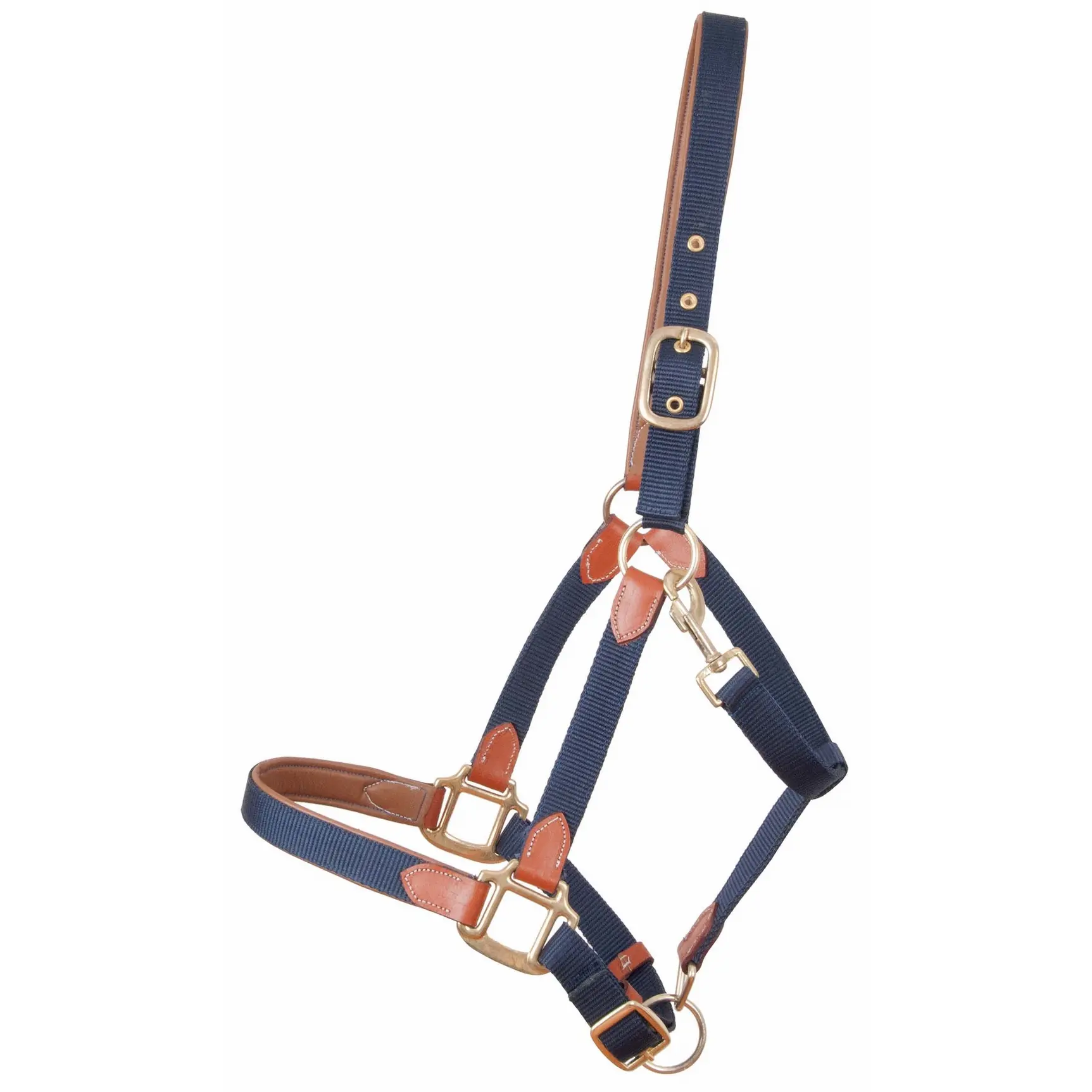 Leather halter for horse and strap T de T