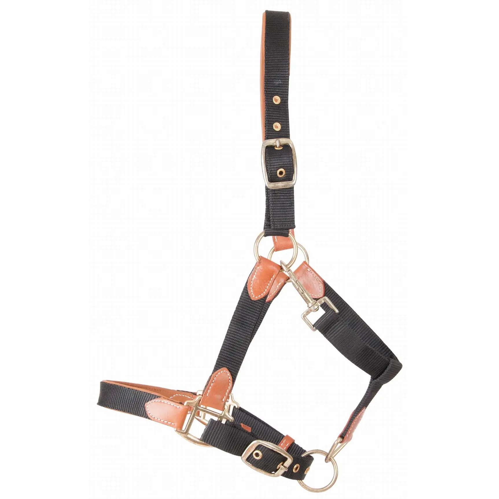 Leather halter for horse and strap T de T
