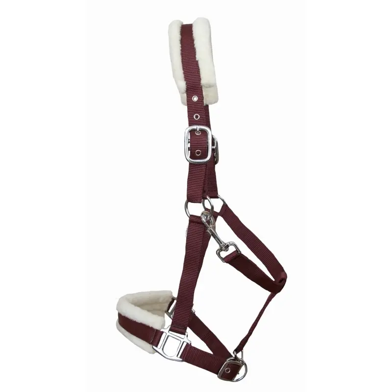 Sheep halter for horse T de T