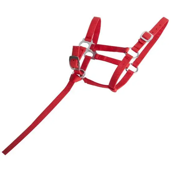 Horse halter for foal T de T