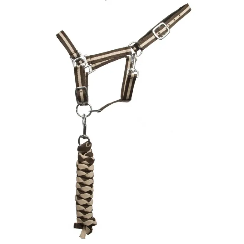 Halter for double horse + lead reins T de T