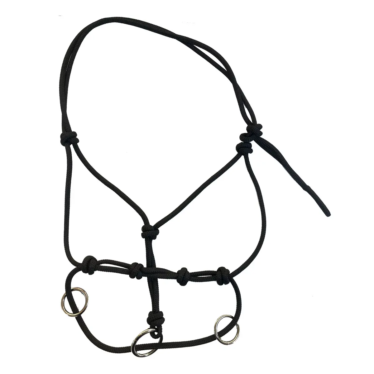 Halter for horse Tattini