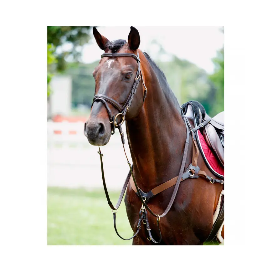 Elastic horse hunting collar with martingale Tattini