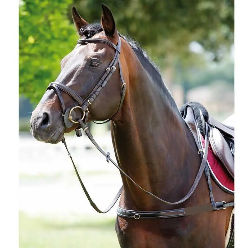 Elastic horse hunting collar with removable neck Tattini