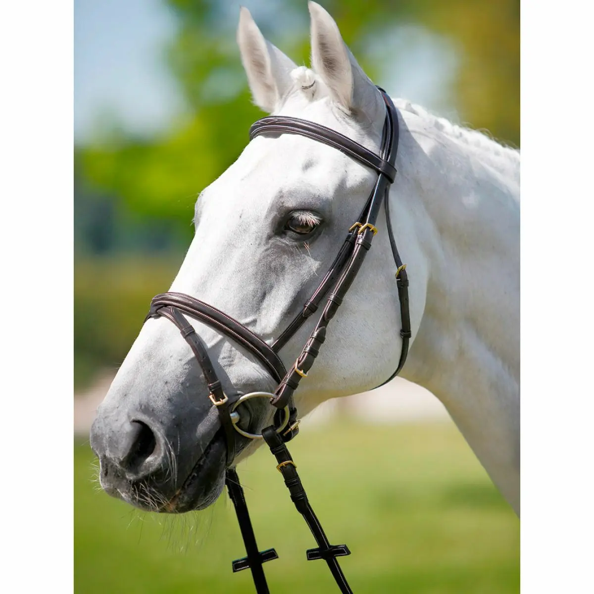 Headrest, browband-licol costing white Tattini