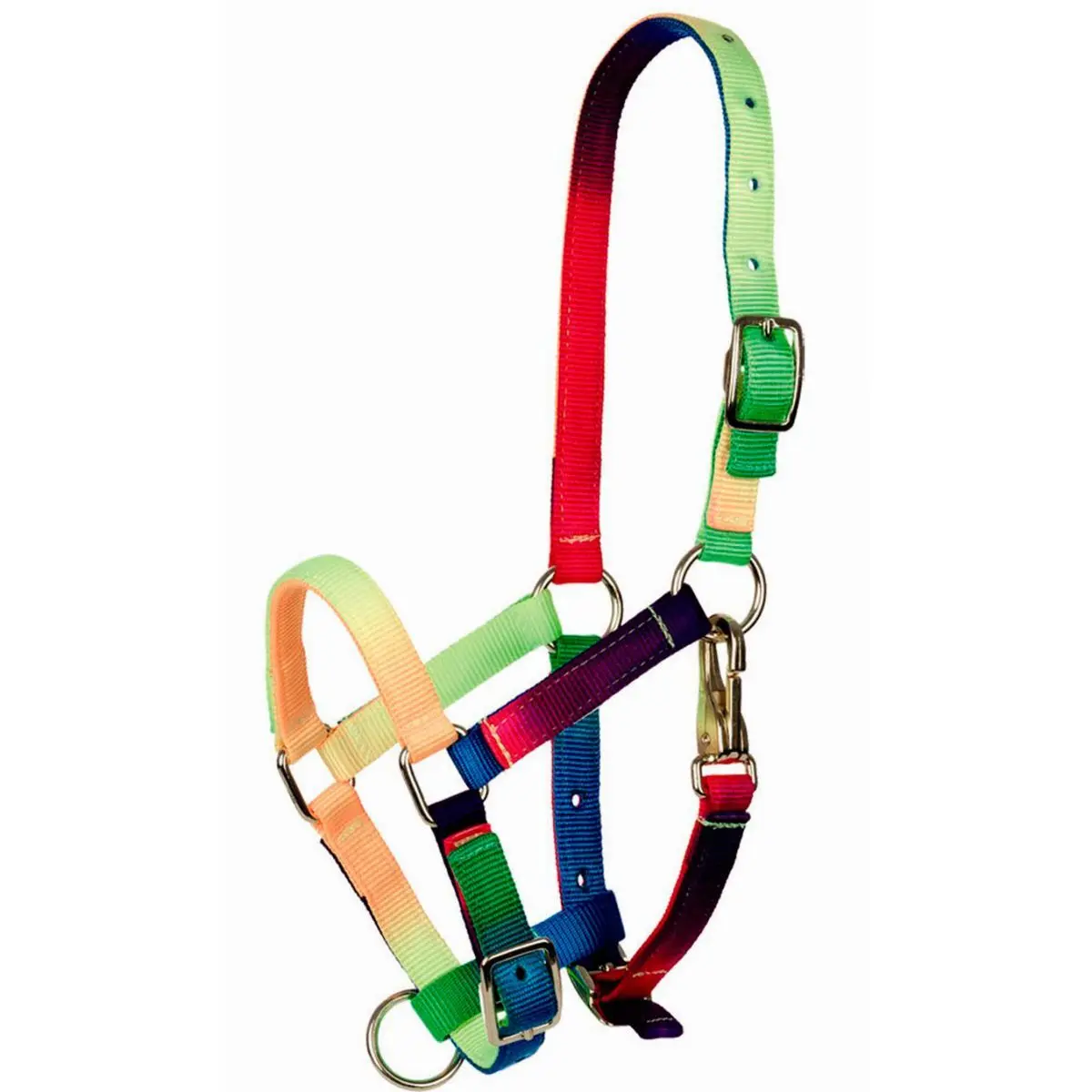 Halter for foal Tattini