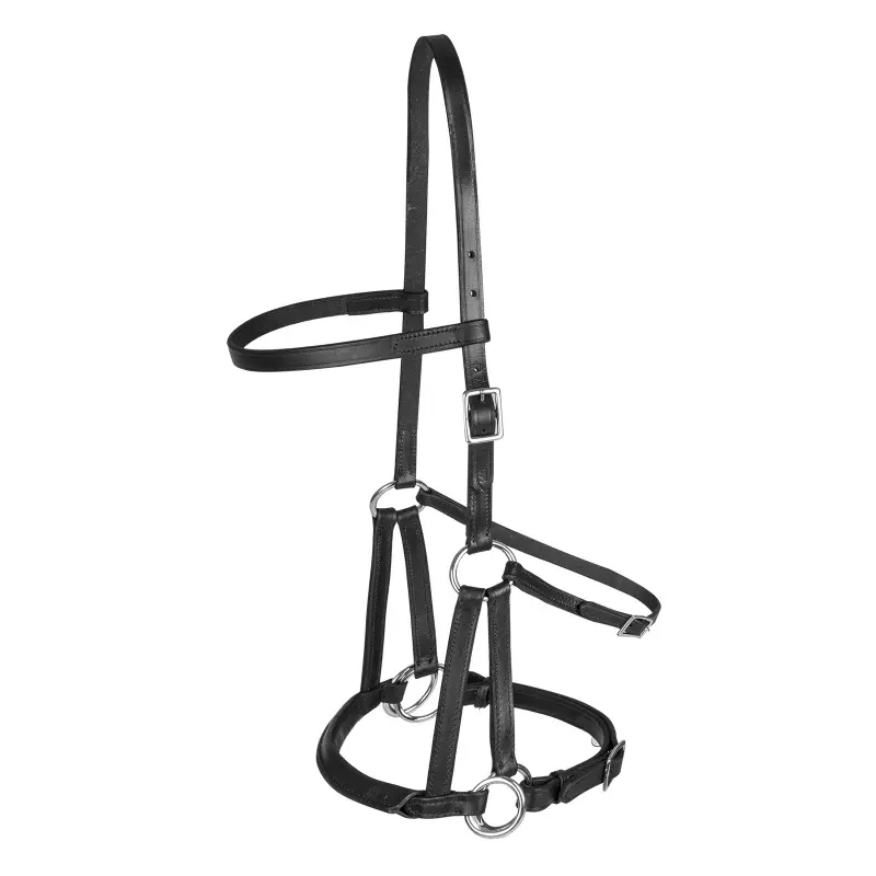 Bitless bridle for horses Tellington Ttouch
