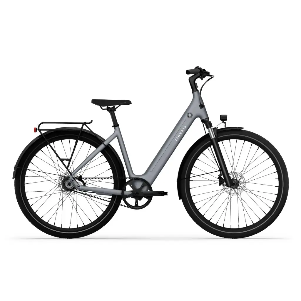 Elektrische fiets Tenways CGO800S