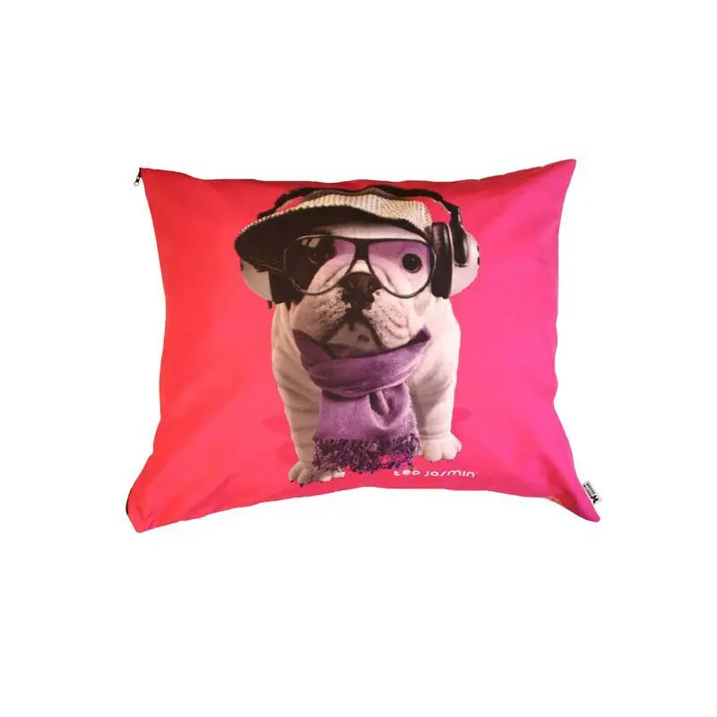 Coussin pour chien Téo Jasmin Groovy