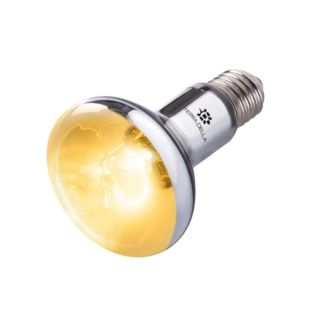 Terra Della UVB zonnelamp voor reptielen | 75W 100W 125W 160W | UVA UVB en warmte 160 Watt