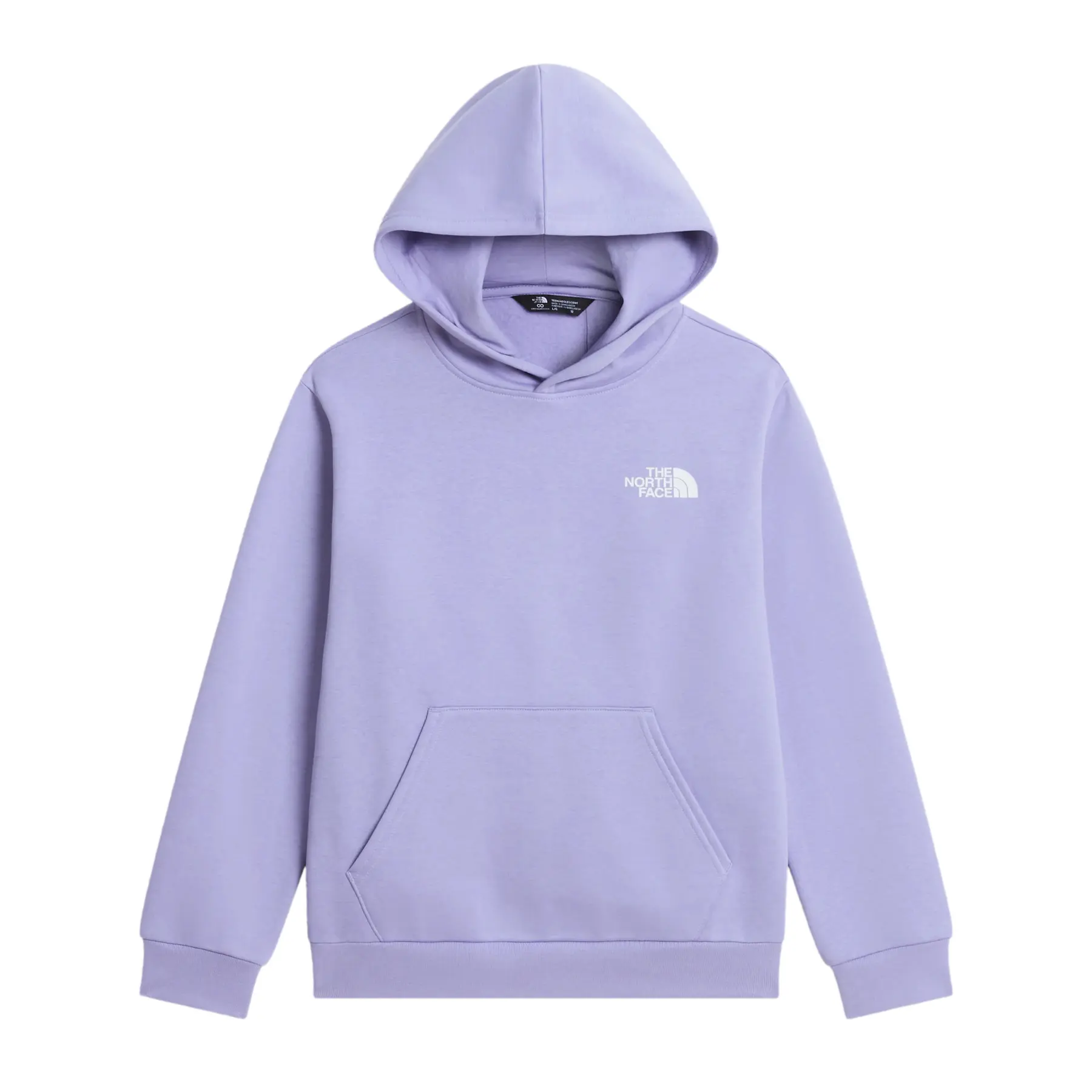 Sweatshirt à capuche enfant The North Face Evolution Box NSE