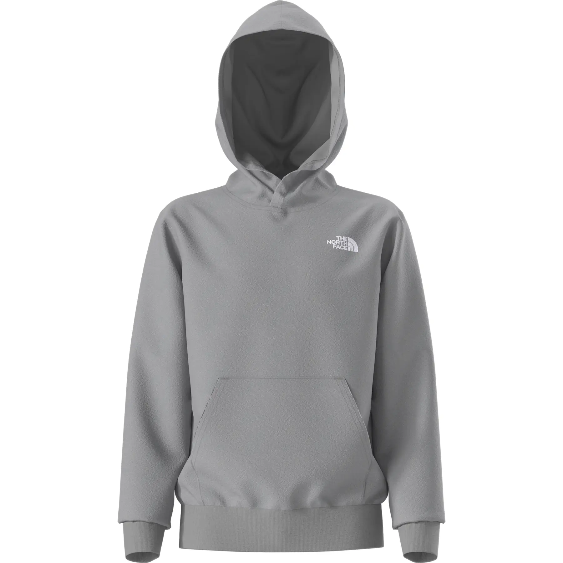 Sweatshirt à capuche enfant The North Face Evolution Simple Dome