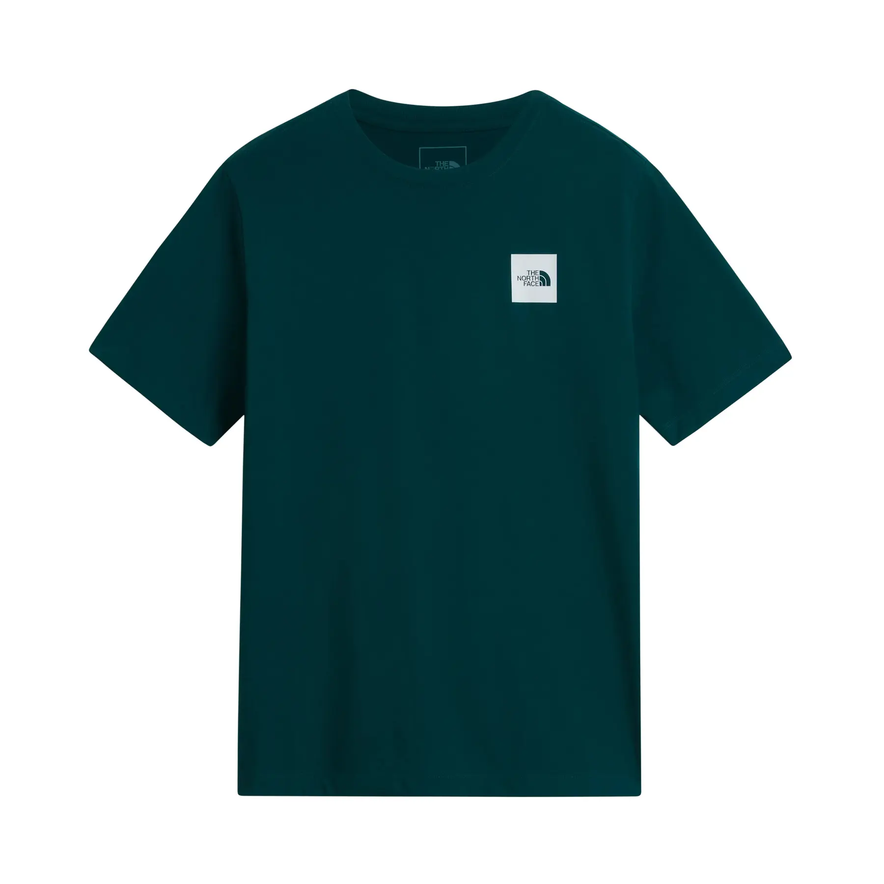 Normaal T-shirt The North Face Evolution Box Half