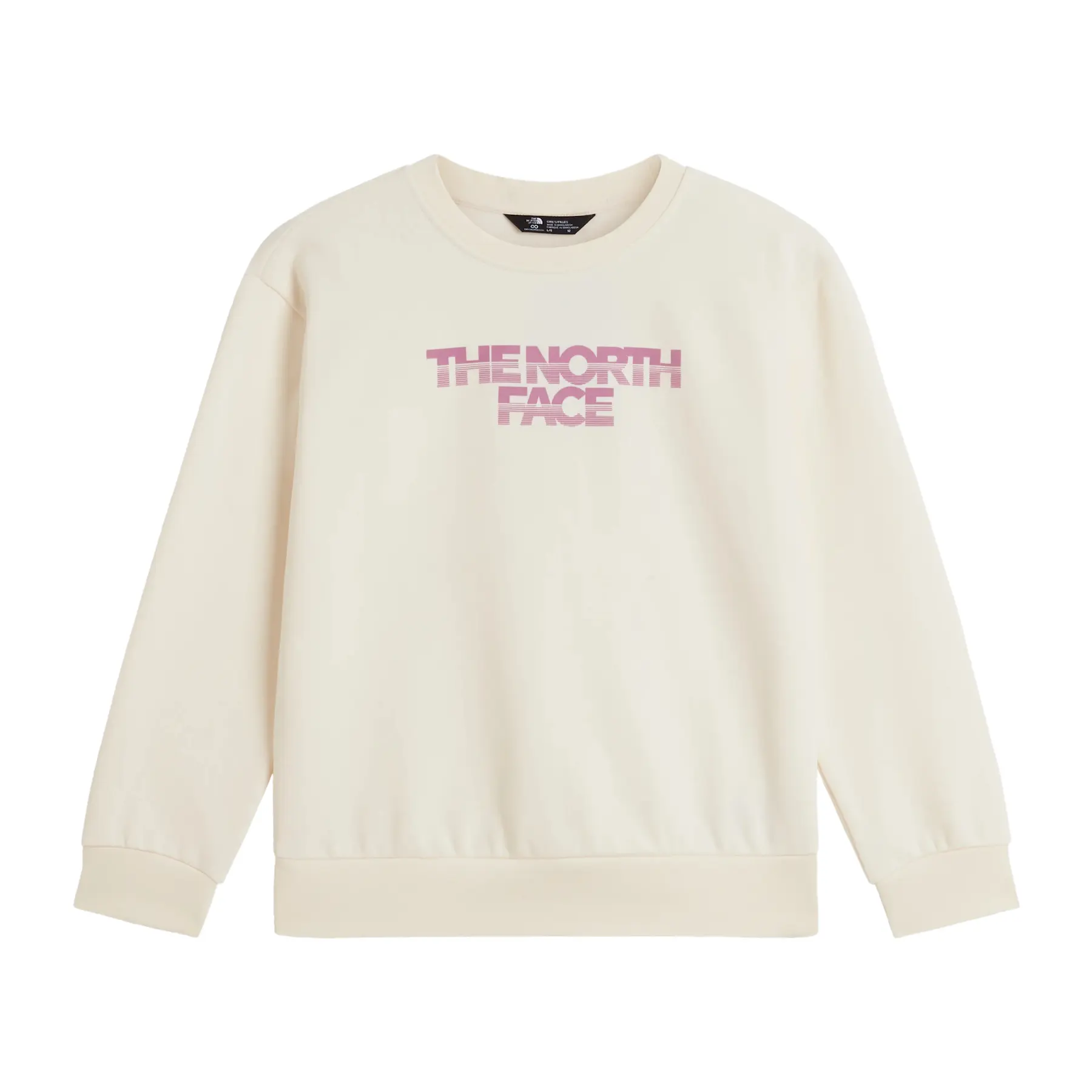 Casual Graphic Sweatshirt Meisje The North Face Chalbi