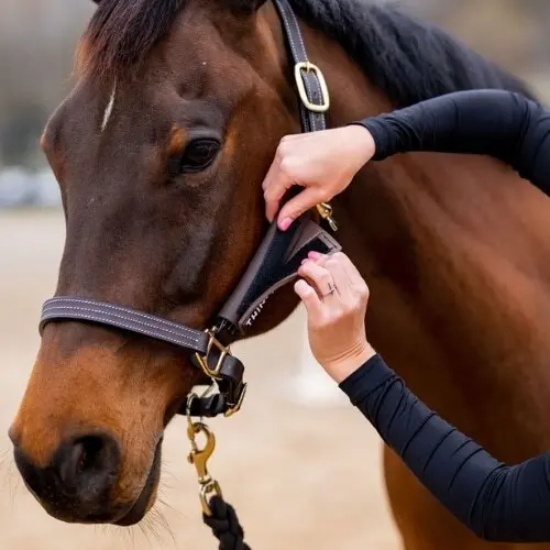 Accessory for Halter Cheek Protector ThinLine