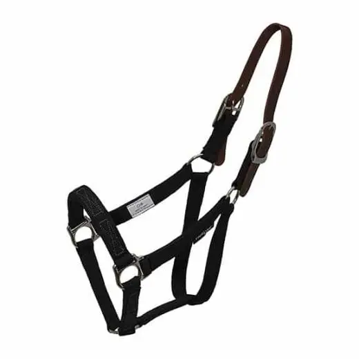 Flexible detachable horse halter ThinLine Free Spacious Nose