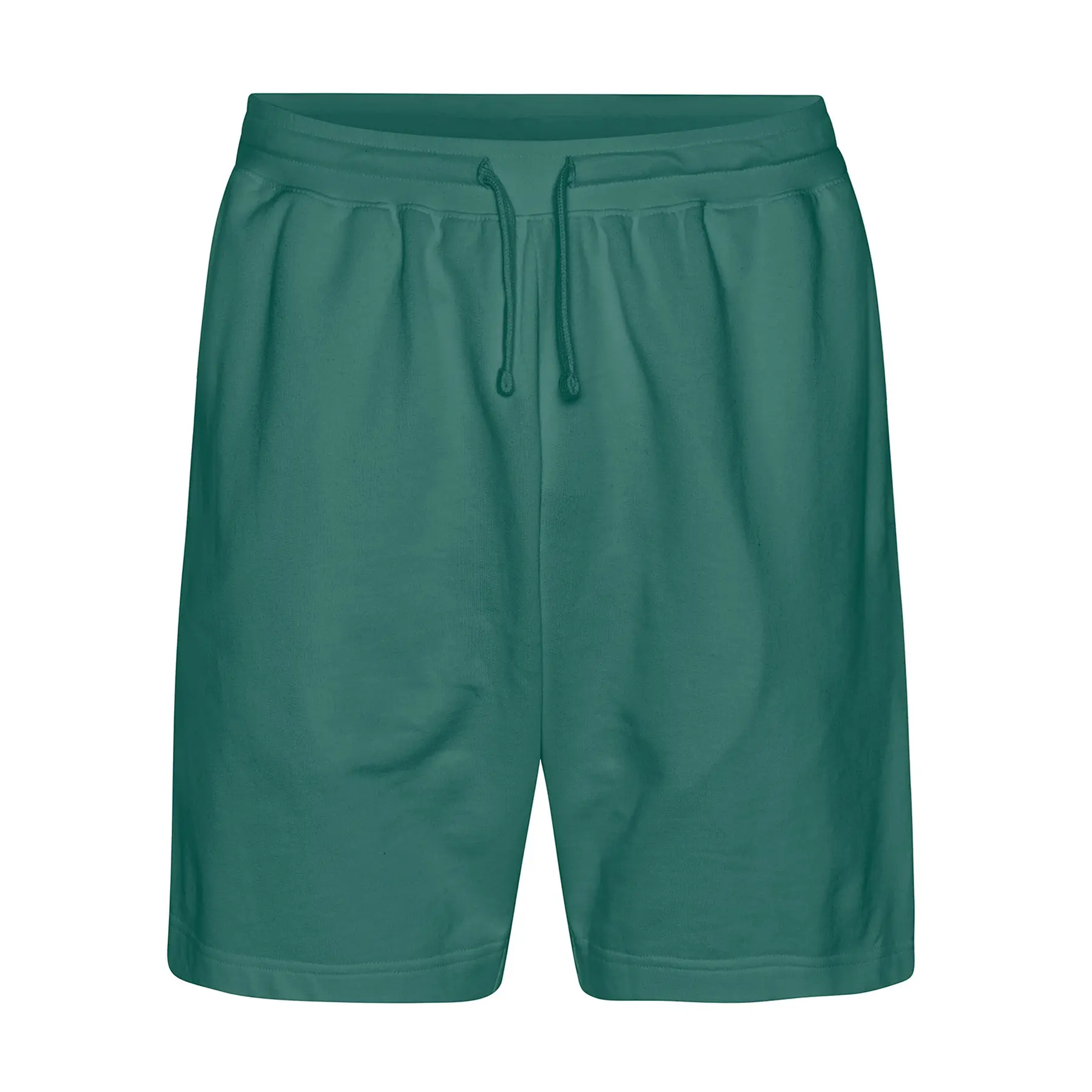 Shorts Tiger