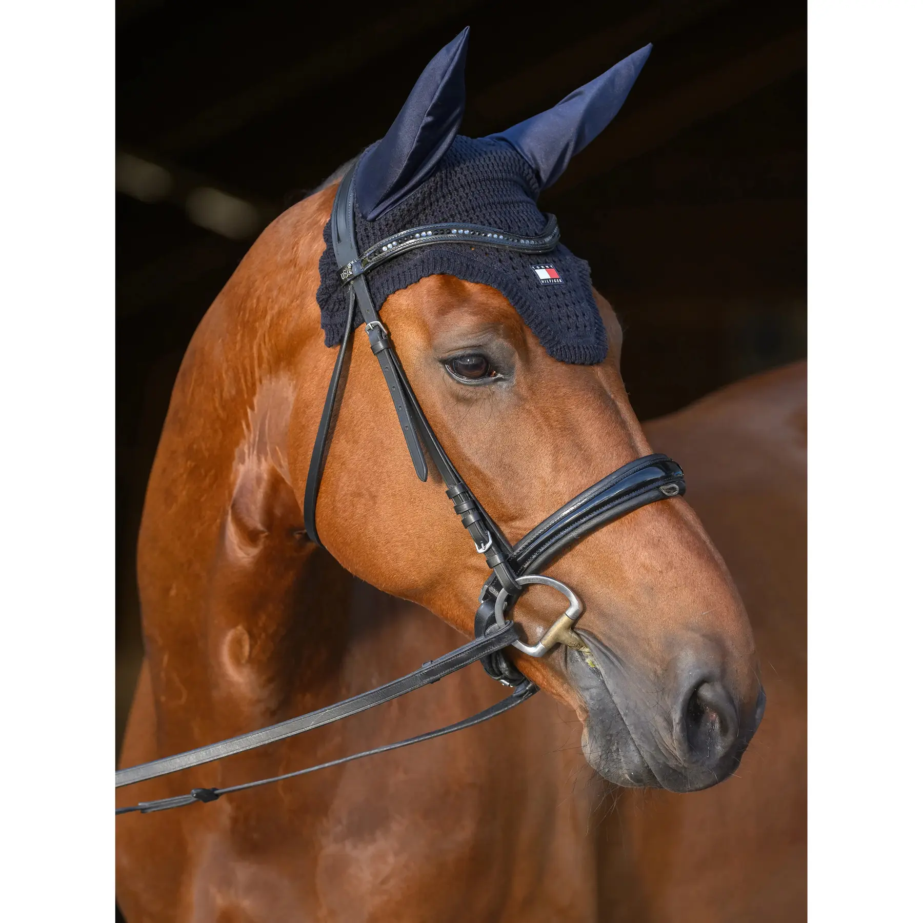 Maschera antimosche Tommy Hilfiger Equestrian Lexington