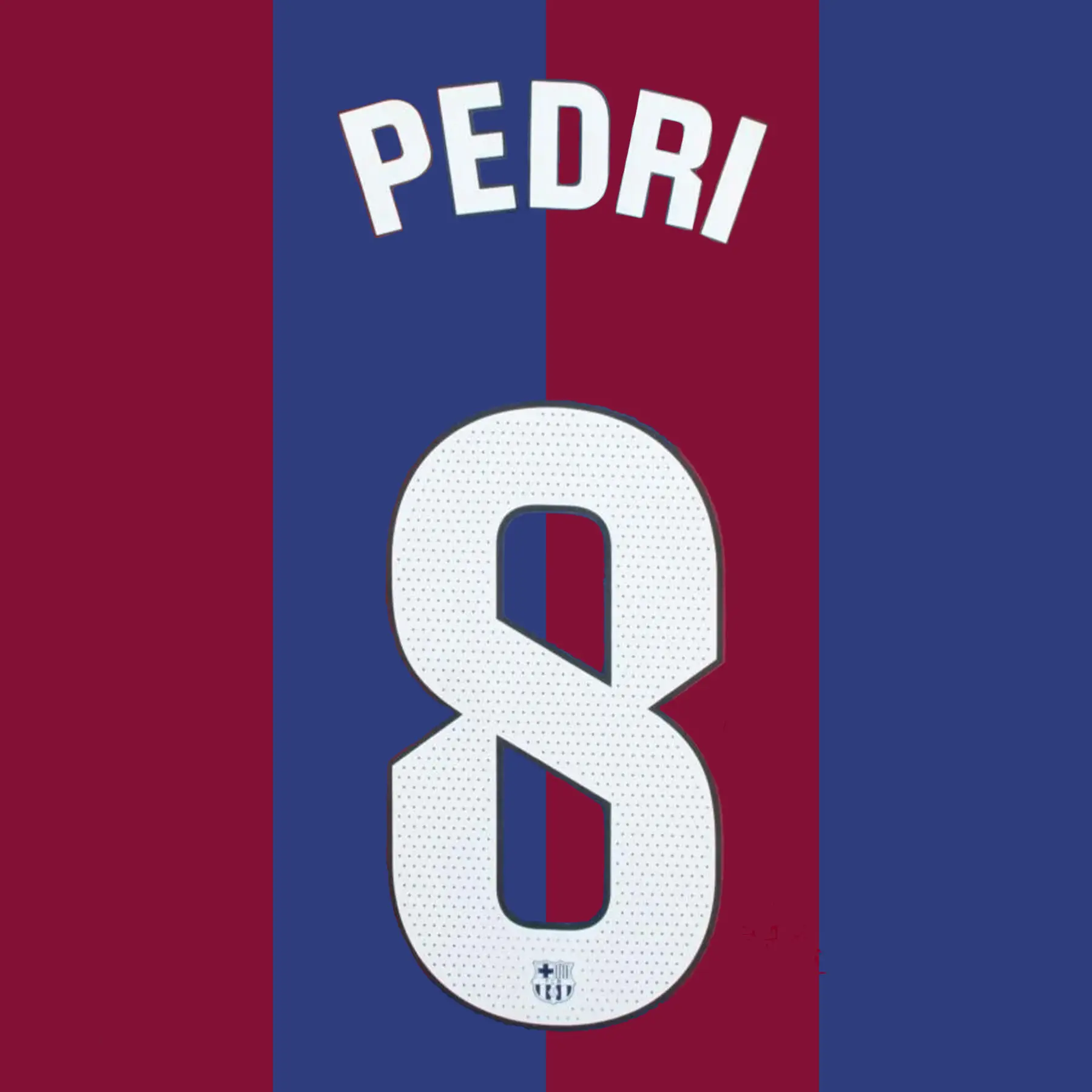 Accoglienza a casa FC Barcelone Liga PEDRI #8 2023/24