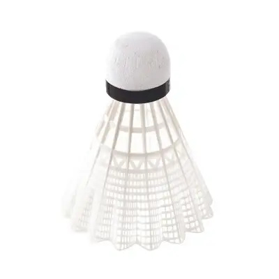 Tube mit 6 Badminton-Schlägern Tremblay