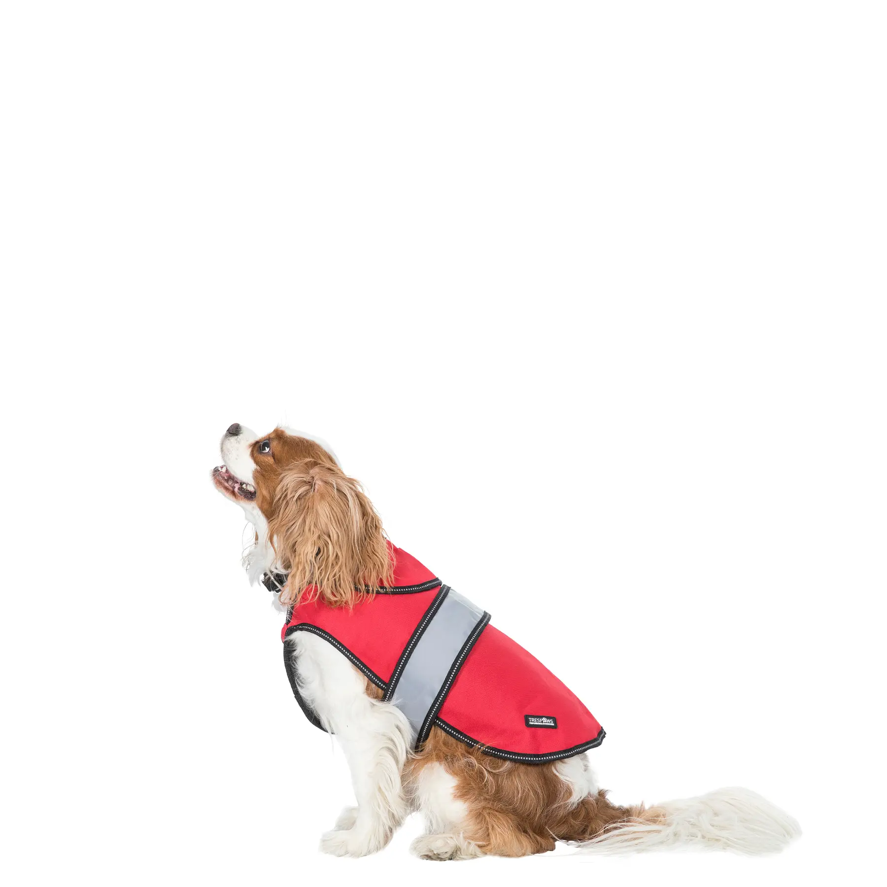 Dog coat Trespass Duke X