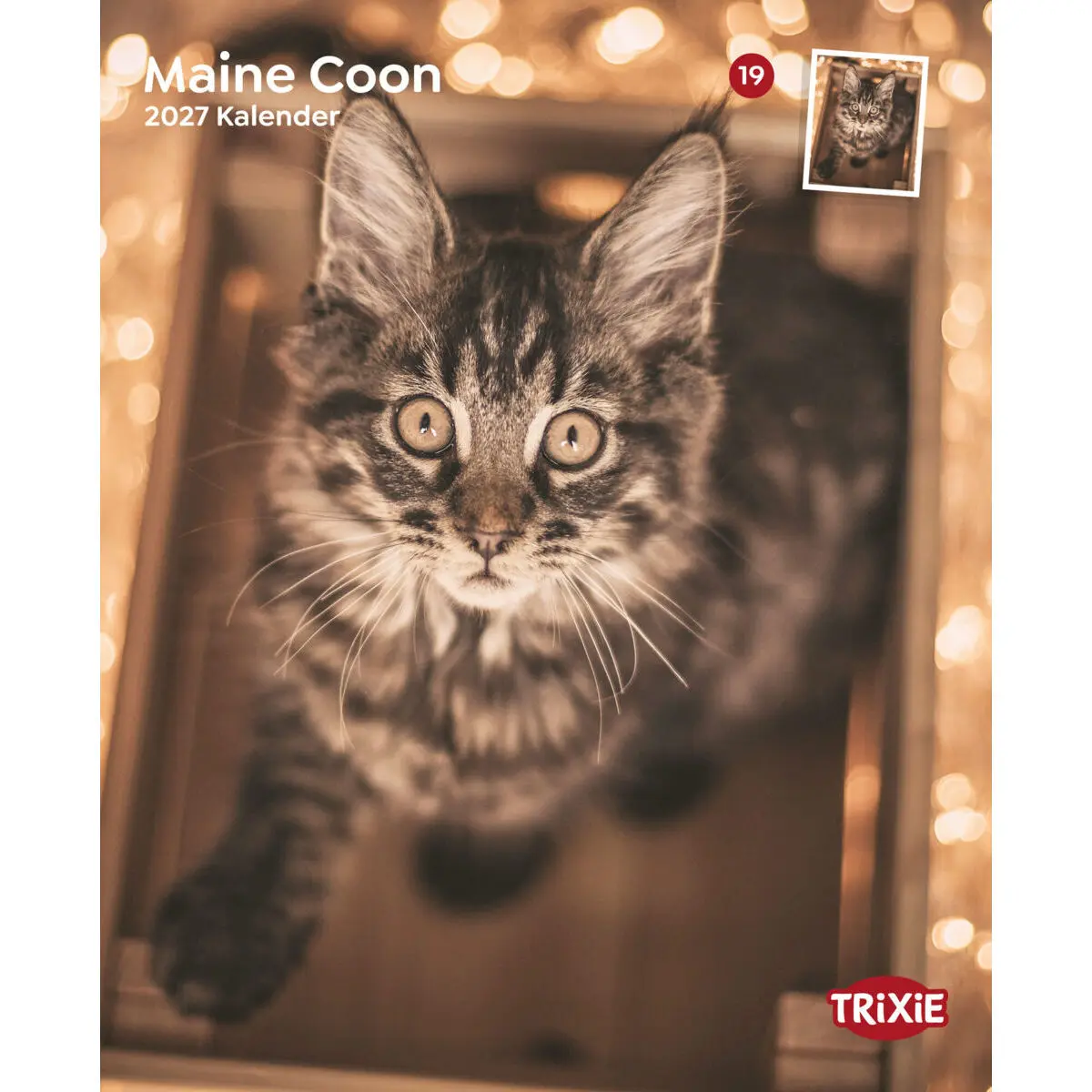 Calendario Maine-Coon Trixie