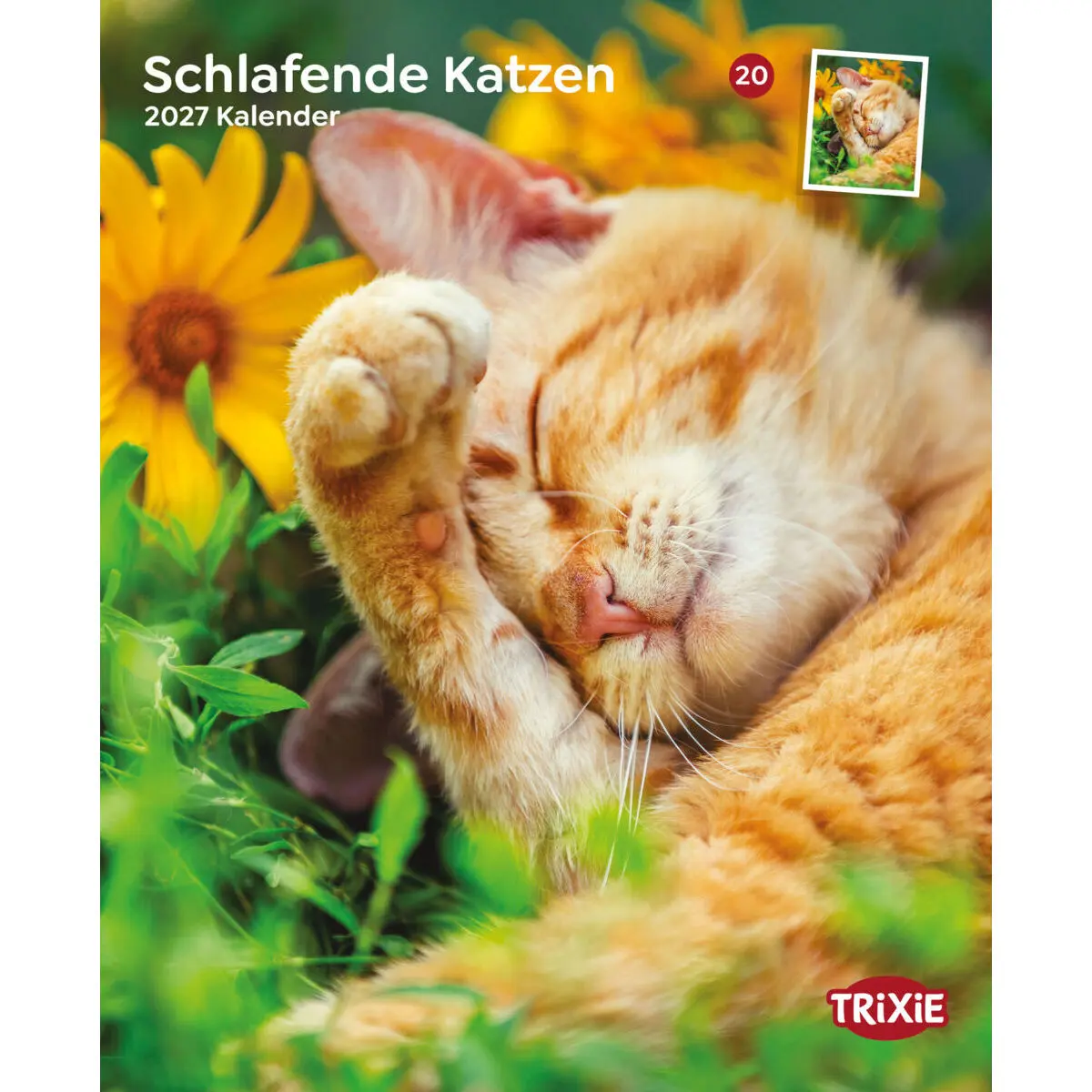 Calendario gattini addormentati Trixie