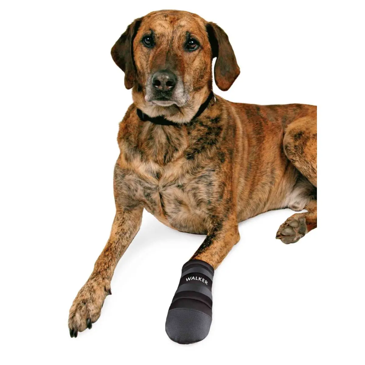 Paare von Pfotenschützern für Hunde Trixie Walker Care