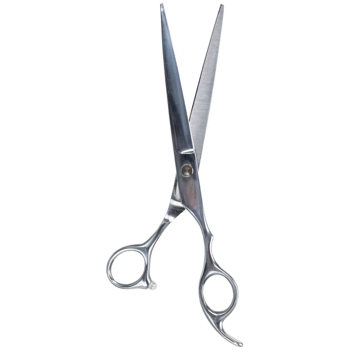 Professional stainless steel scissors Trixie
