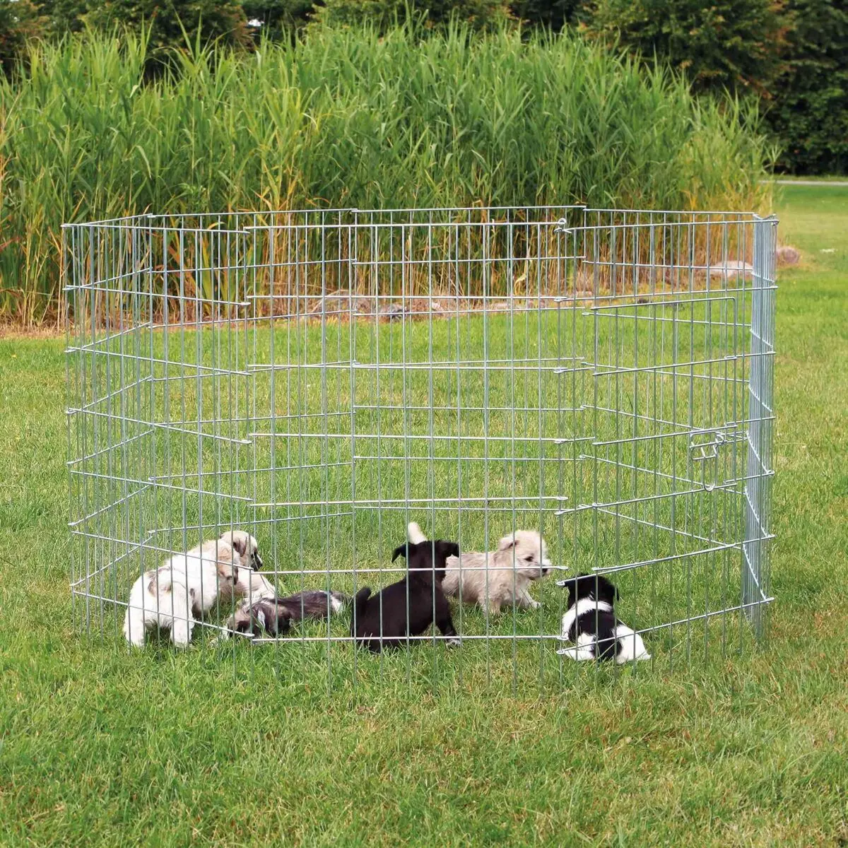 Trixie Gris Enclos Pour Petits Chiens En Métal Galvanisé