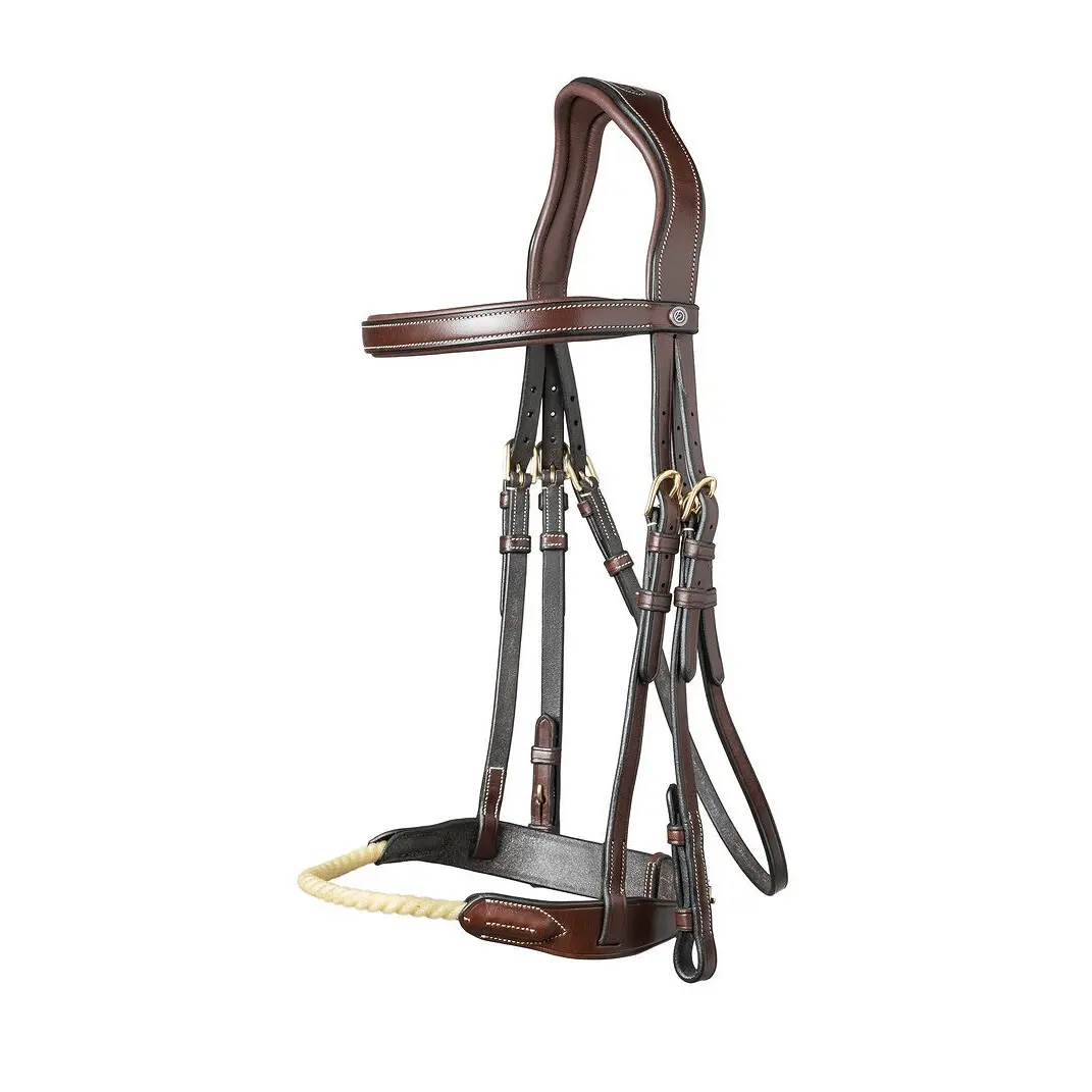 Combined riding bridle and noseband Trust St. Gallen