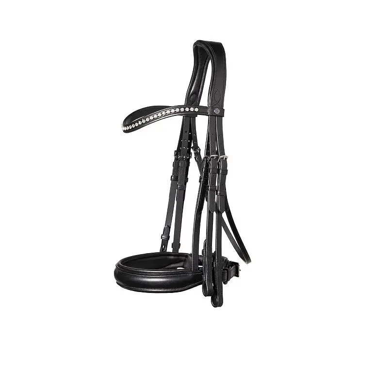 Bridles for horses Trust Wellington