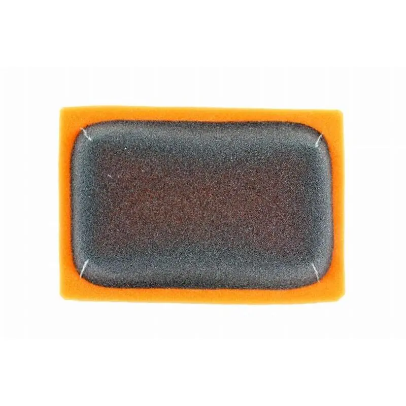 Voorgelakte luchtfilter voor motorfiets Twin Air BMW R 1250 Rs Abs (0j81) [1250]