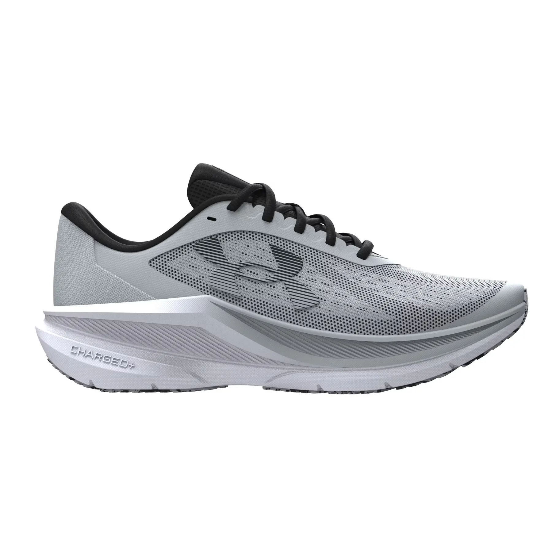 Laufschuhe Under Armour Assert 11