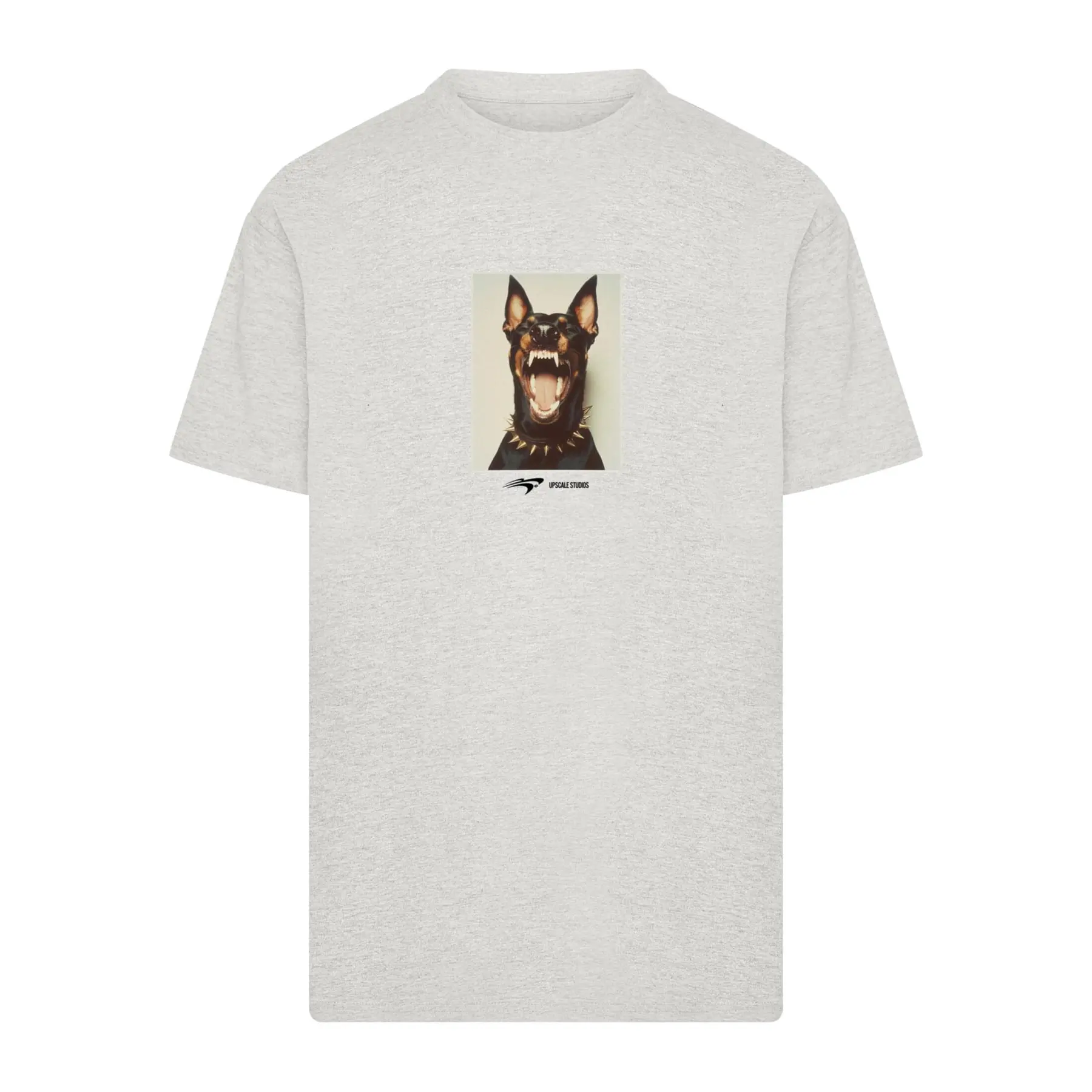 T-shirt oversize Upscale Neighbors Heavy