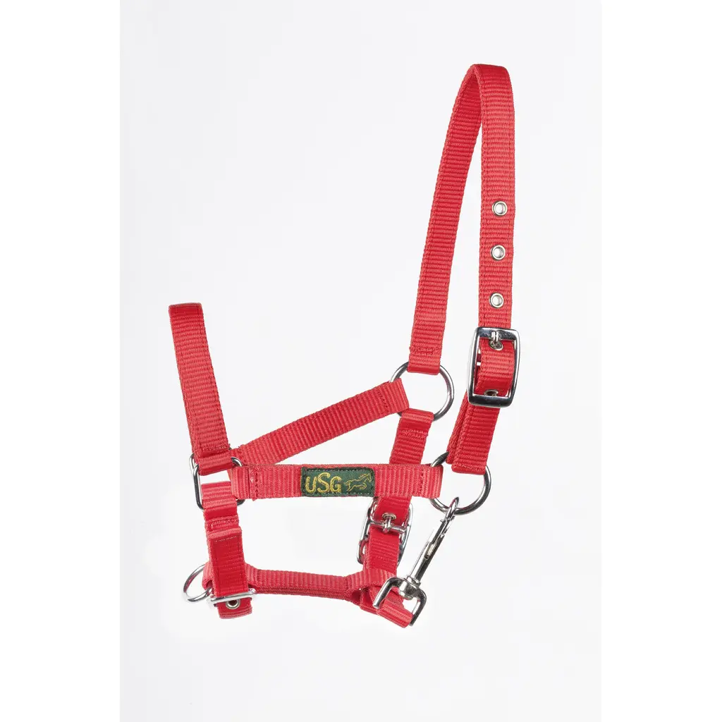 Halter for foal USG