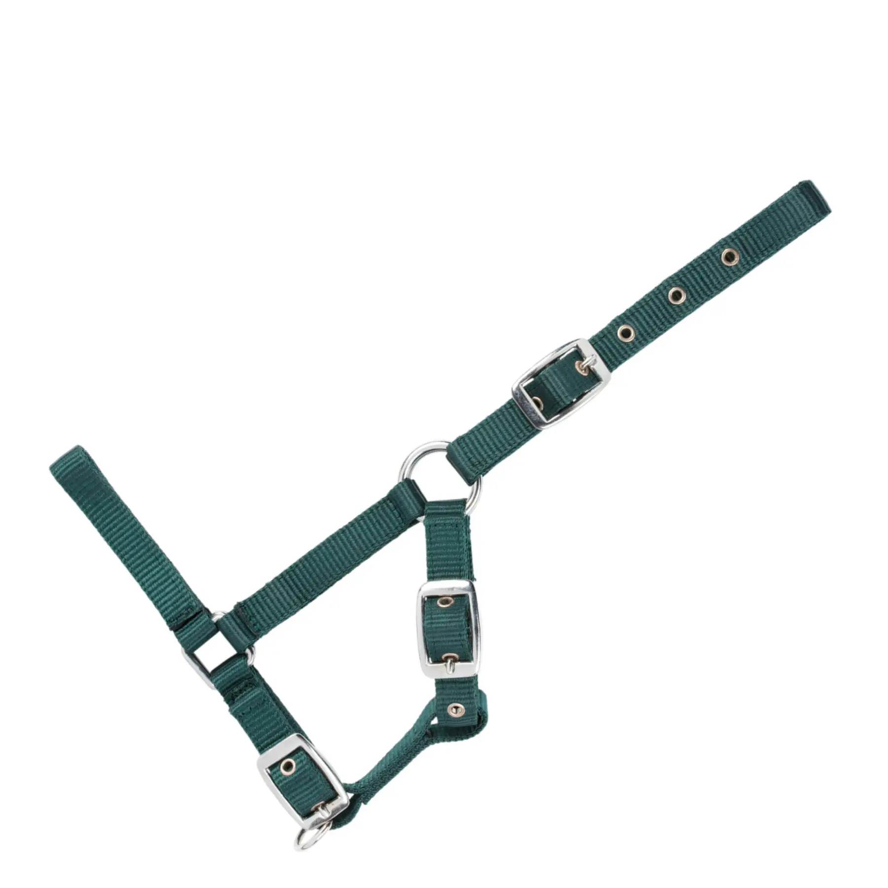 Halter for foal USG