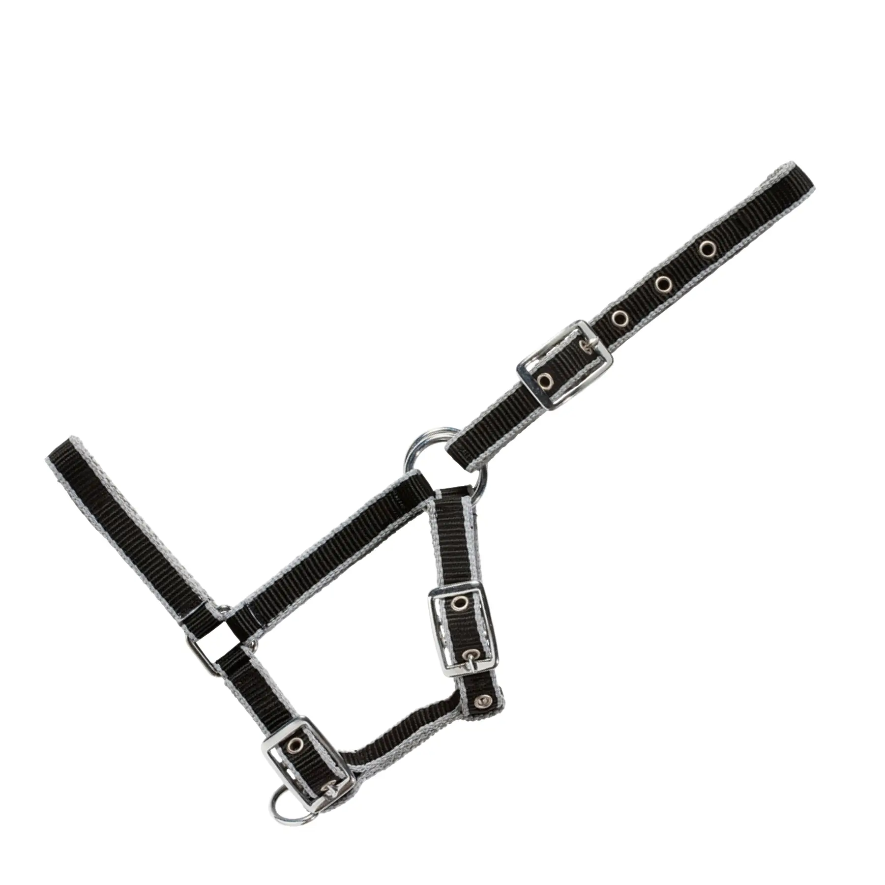 Halter for foal USG