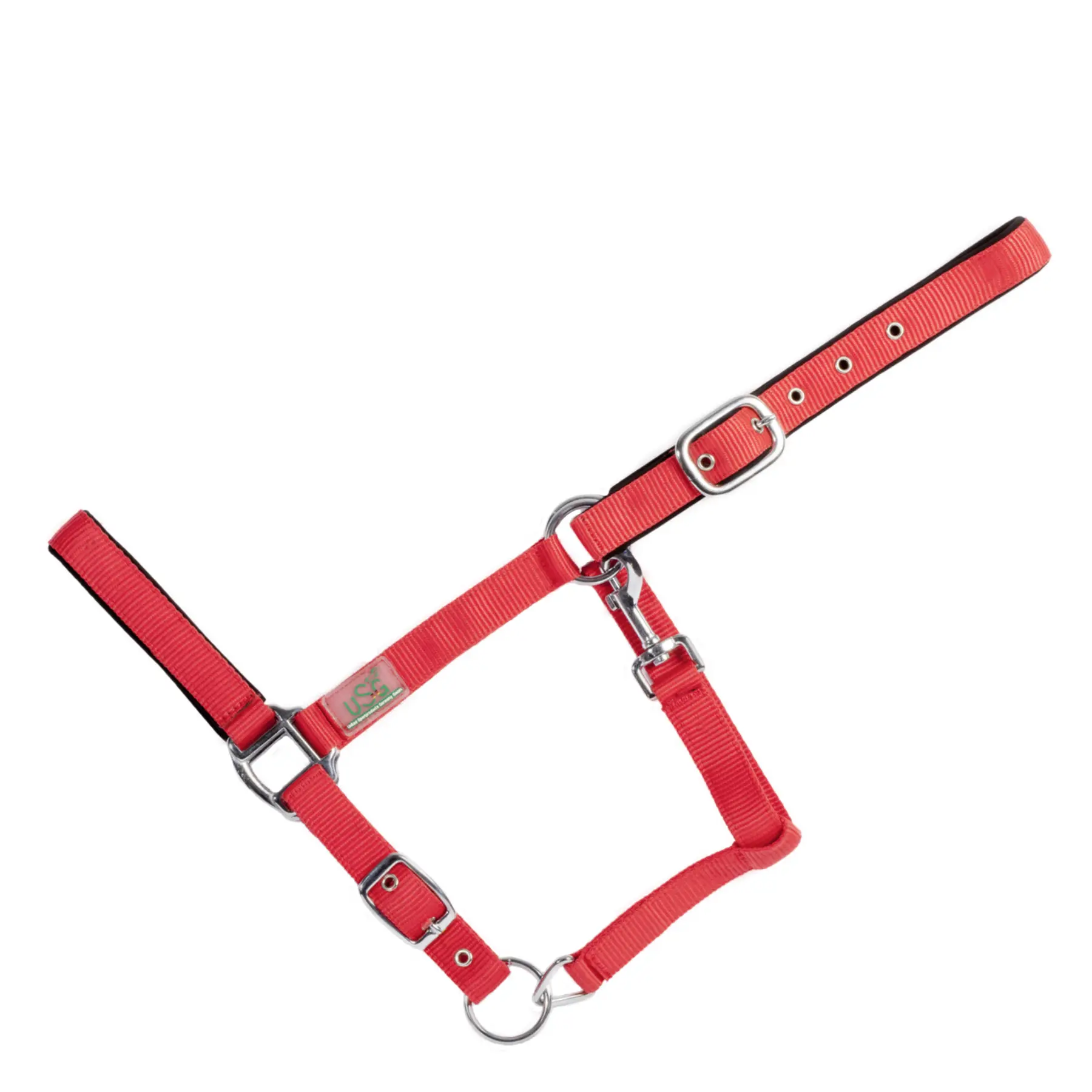 Padded horse halter USG Basic