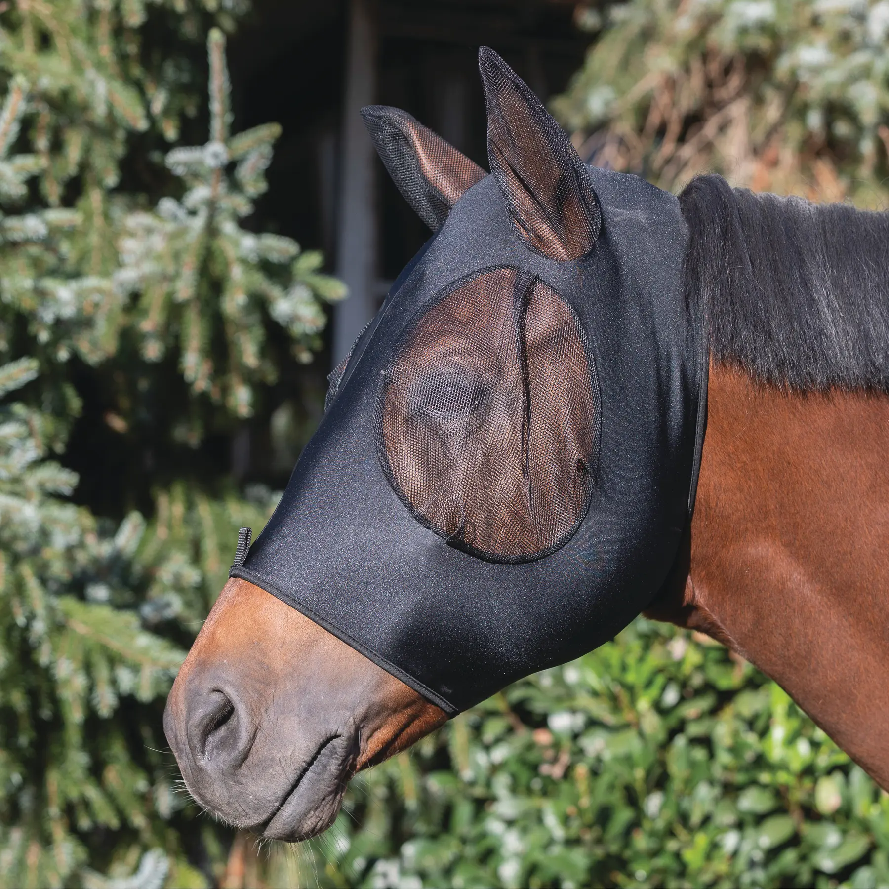 Fly mask with earmuffs for horses USG