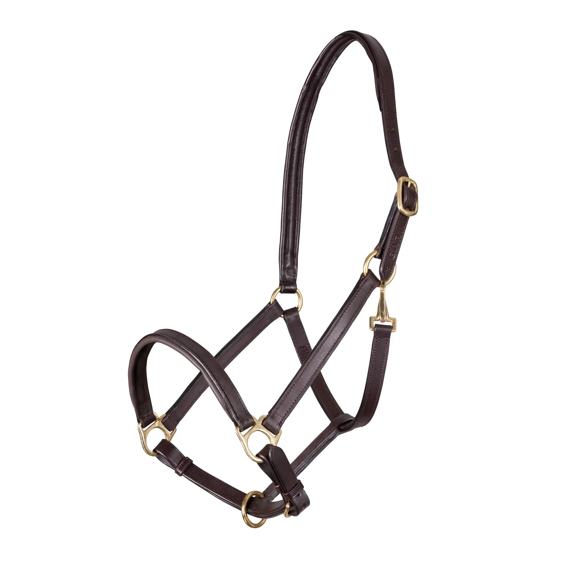 Licol pour cheval doublure ragley en cuir Velociti Gara