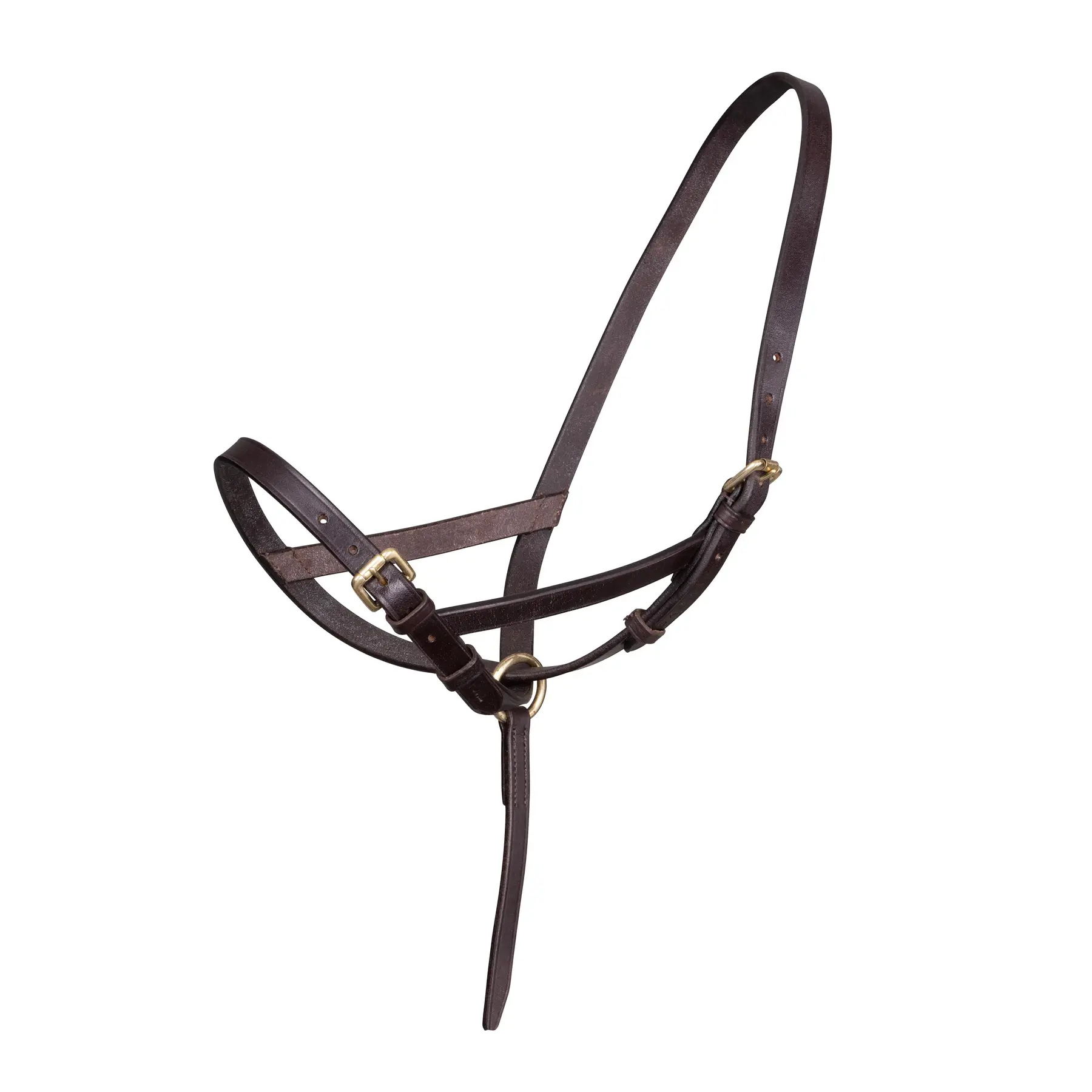 Licol pour poulain en cuir Velociti Gara Slip