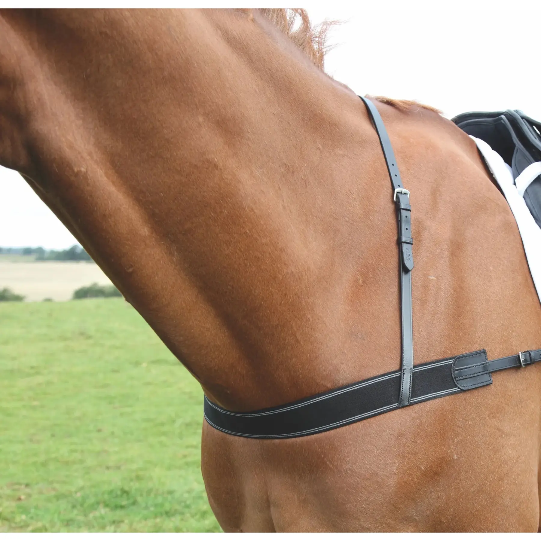 Sangle élastique pour cheval Velociti Gara