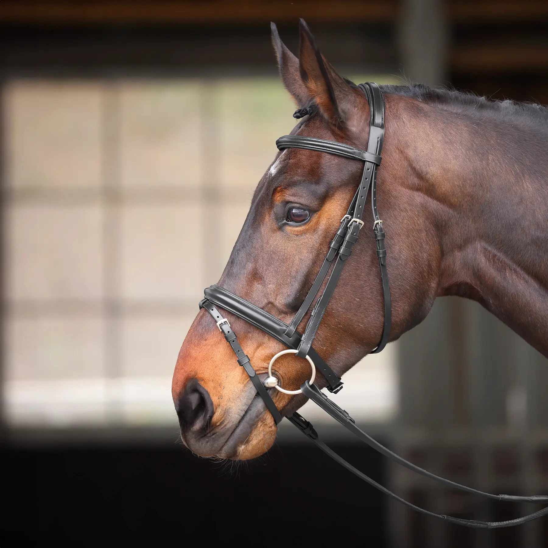 Bridon équitation confort Velociti Gara