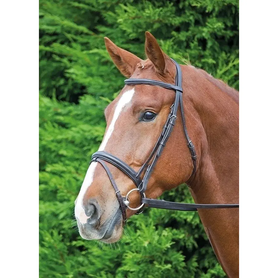 Bride équitation Velociti Gara Comfort Fit