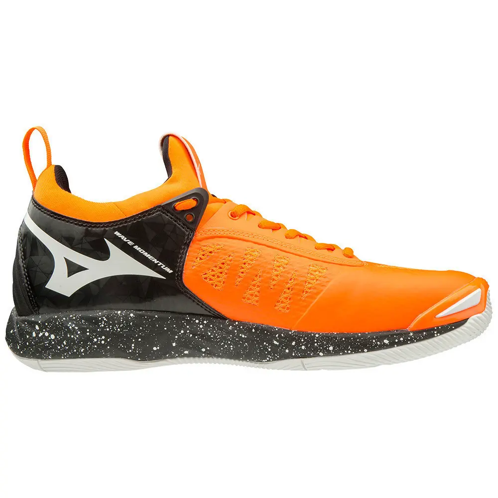 Schuhe Mizuno Wave Momentum