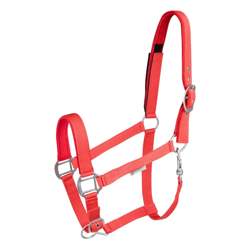 Safety halter for pony Waldhausen