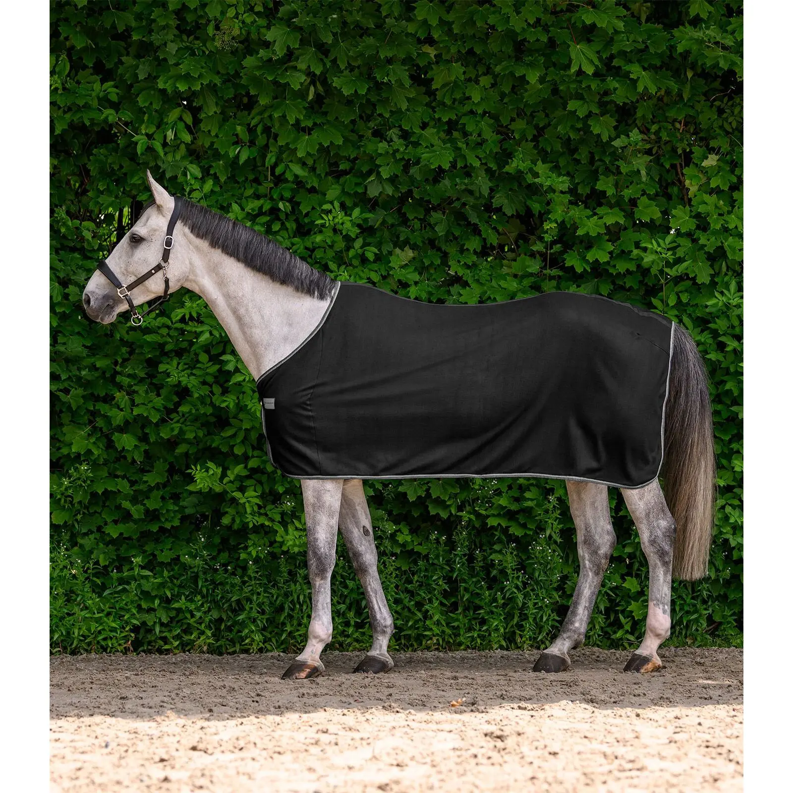 Fleece Blanket Waldhausen Economic