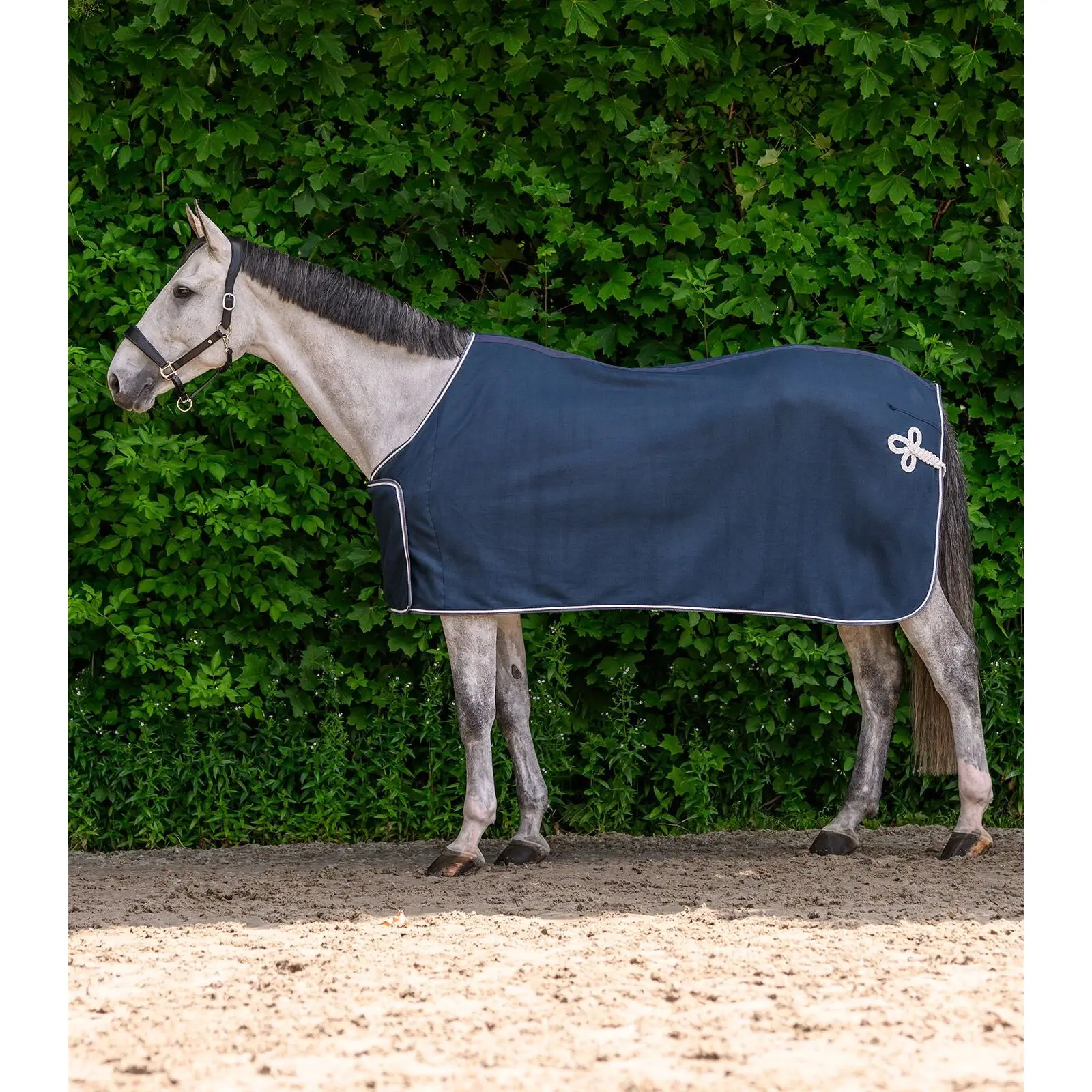 Fleece Blanket Waldhausen Economic Sponsor